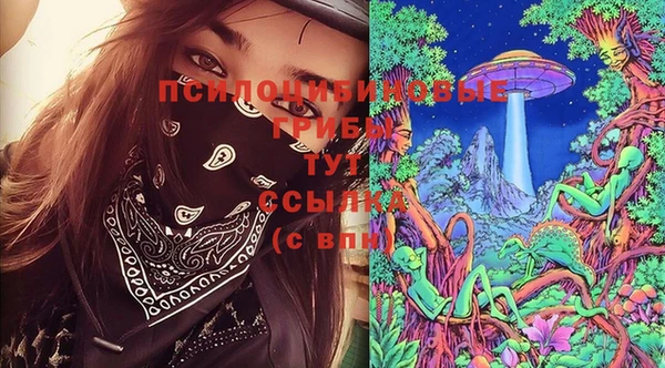 тгк Пересвет